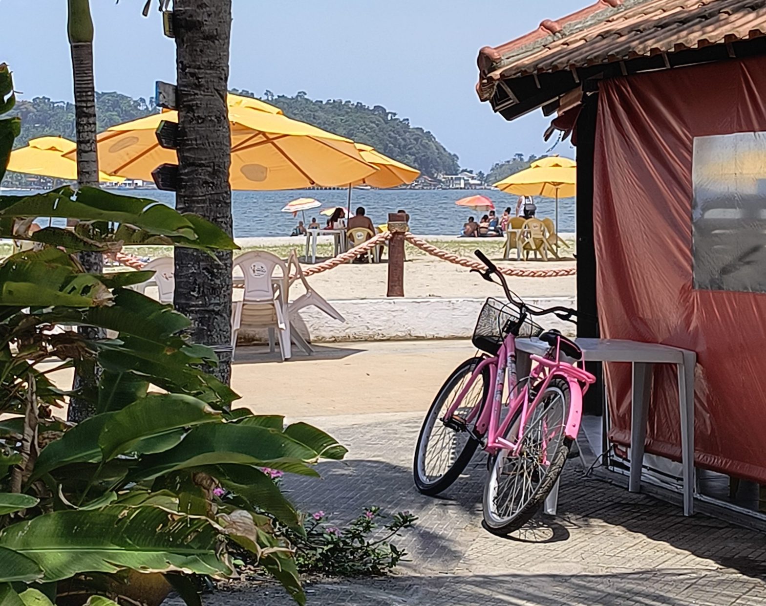 contemplar o dia a dia