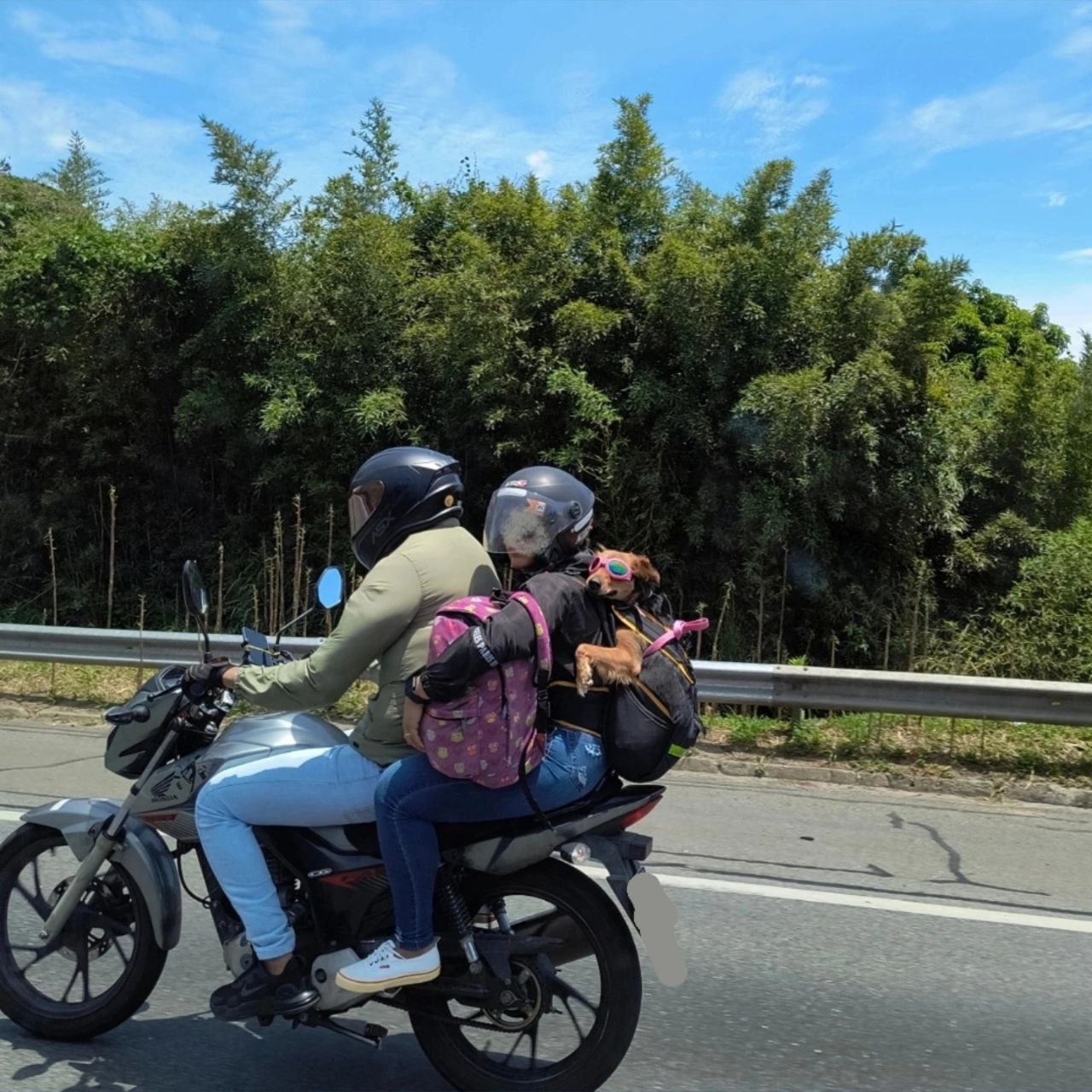 Qual história você contaria a partir dessa&nbsp;foto?